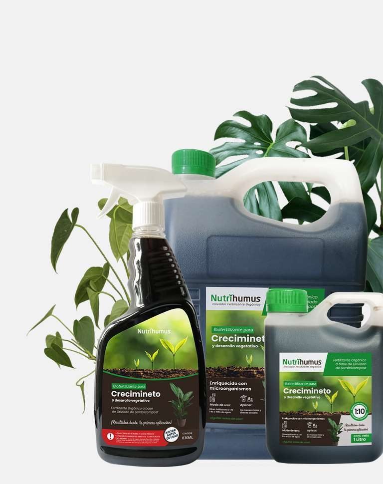 Fertilizantes orgánicos a base de lombricompost: una alternativa natural que enriquece el suelo y potencia el crecimiento de las plantas.